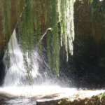 cachoeira