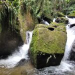 ce2d4673-252d-4f26-8d93-89a2b314b596